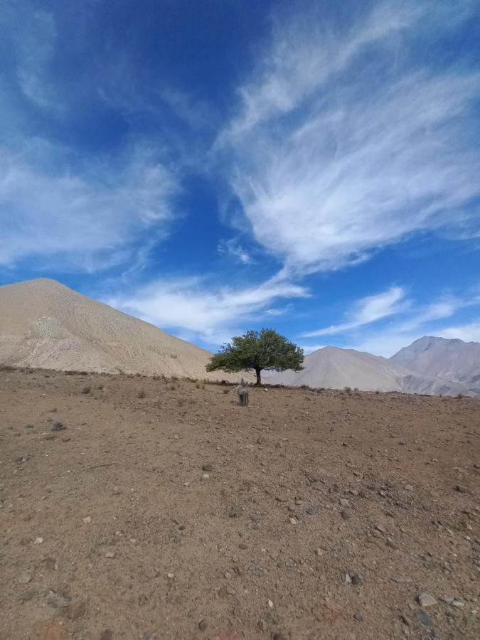 Campo De Cielo Mamalluca Valle De Elqui Vicuña Dış mekan fotoğraf